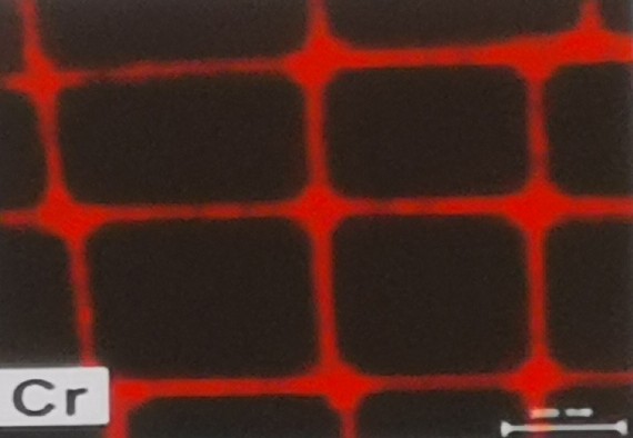 “Metallography” of Composite Materials